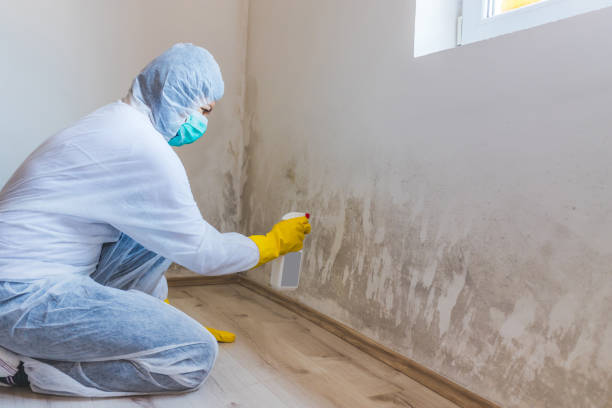 Licensed Crawl Space Mold Removal service in Weston, MA - WQB Mold Removal