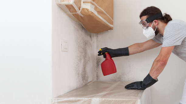 Professional Crawl Space Mold Removal technician working in Weston, MA