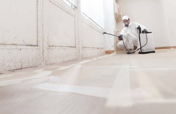 24/7 Emergency Crawl Space Mold Removal experts in Weston, MA