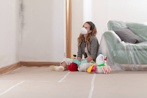Reliable Crawl Space Mold Removal contractor in Weston, MA by WQB Mold Removal